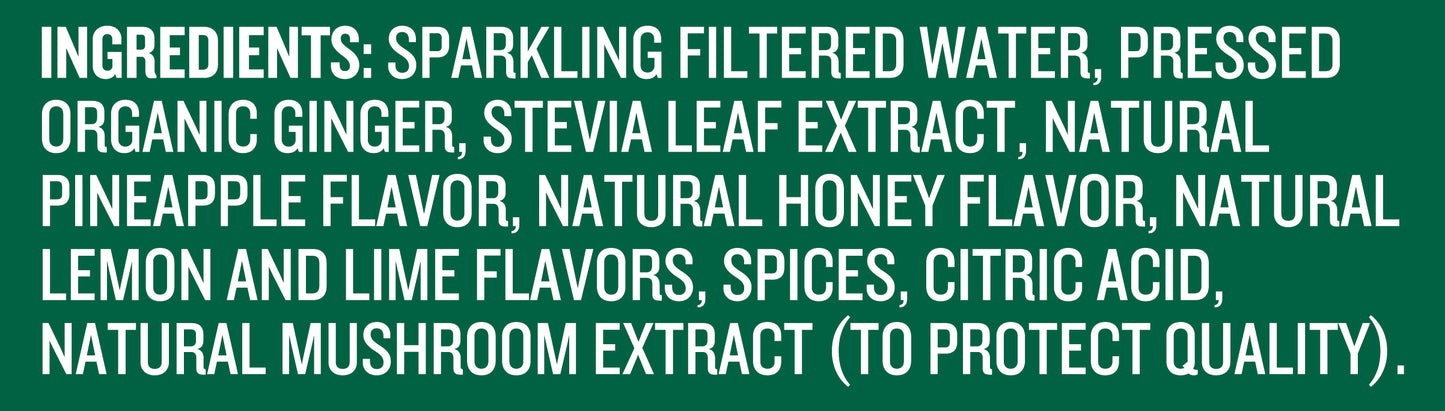 REED'S ZERO SUGAR EXTRA GINGER BEER 24 PACK