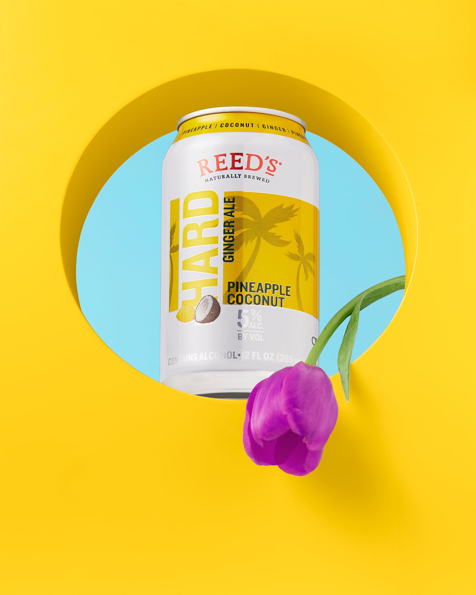 Reeds Hard Seltzer Landing Page β Reed's Inc.