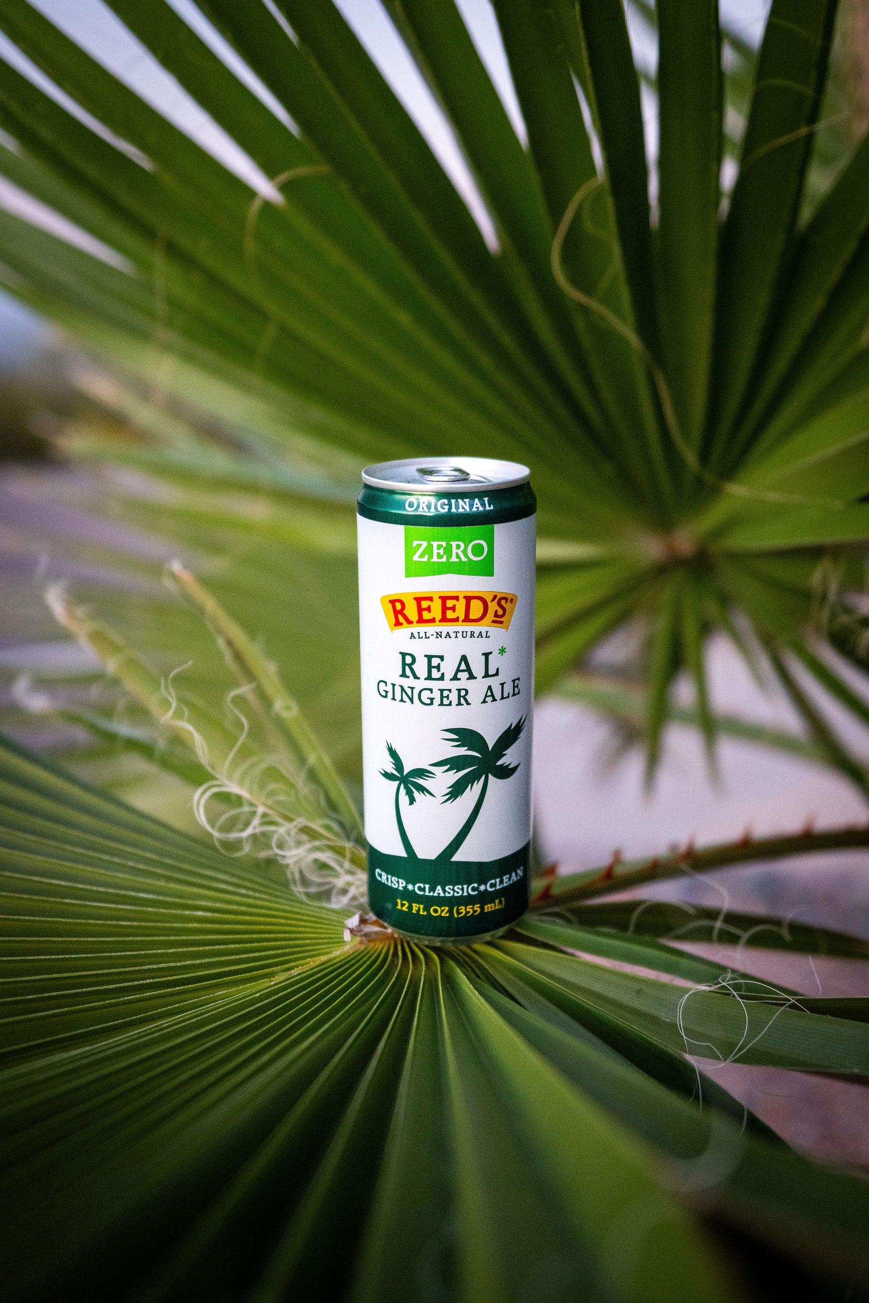 Reed's Zero Sugar Ginger Ale sitting on top of palm leaves.