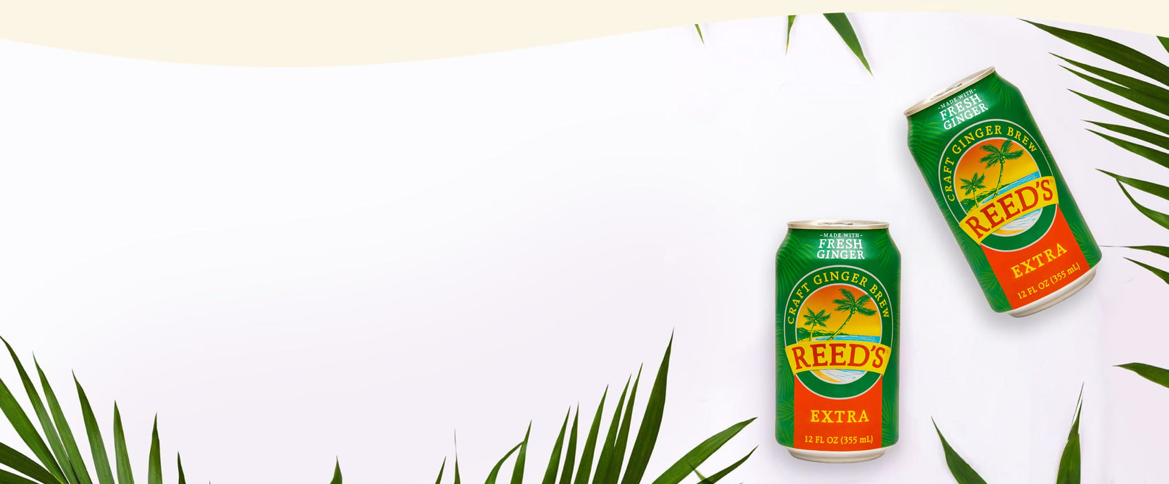 Two cans of Reeds ginger beer on a white background with green leaves.