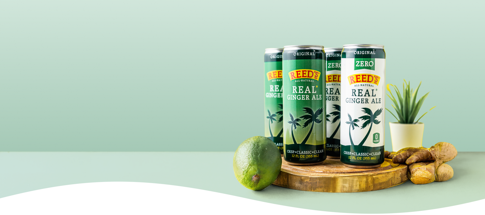 A slim can of Reed's Real Ginger Ale and Reed's Zero Sugar Ginger Ale on a wooden plate surrounded by ginger, limes, and a succulent plant on a light green background.