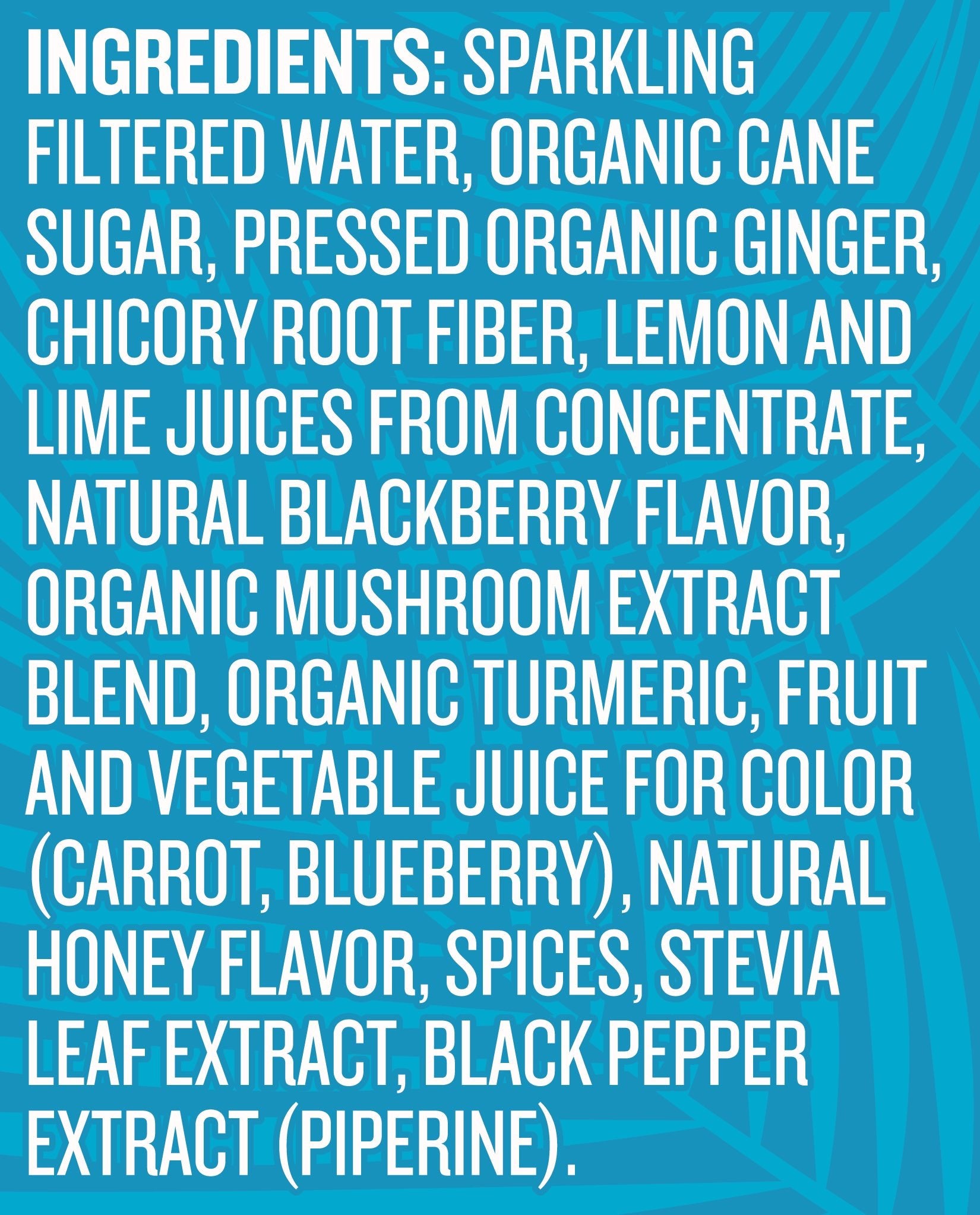NEW! Berry Bubbly Multifunctional Soda soda