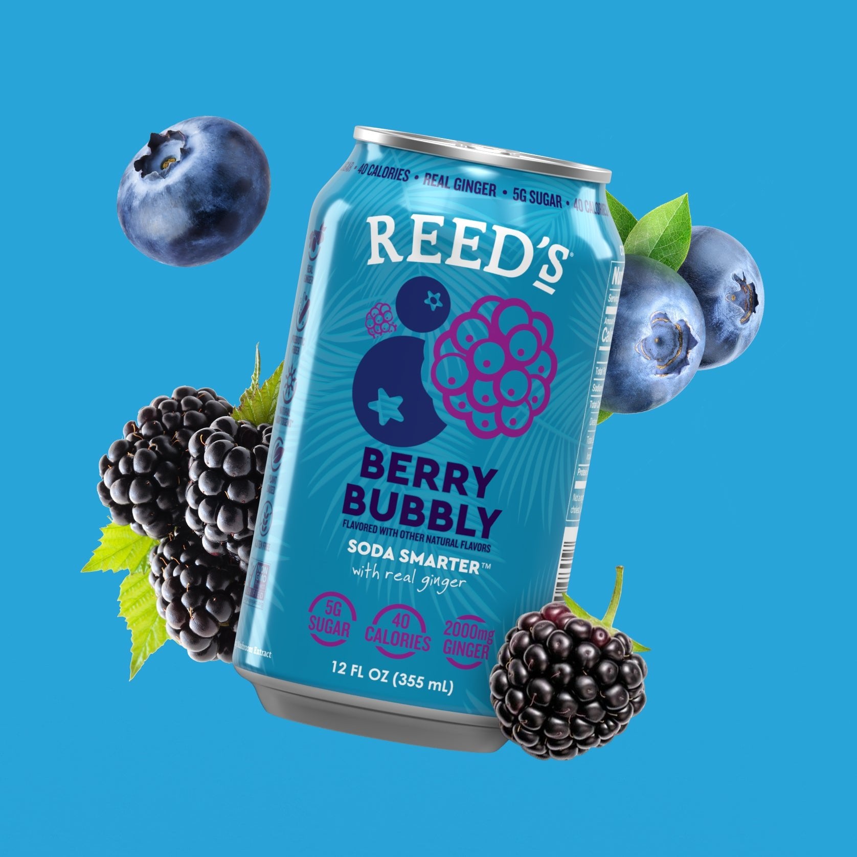 NEW! Berry Bubbly Multifunctional Soda - Reed'sInc