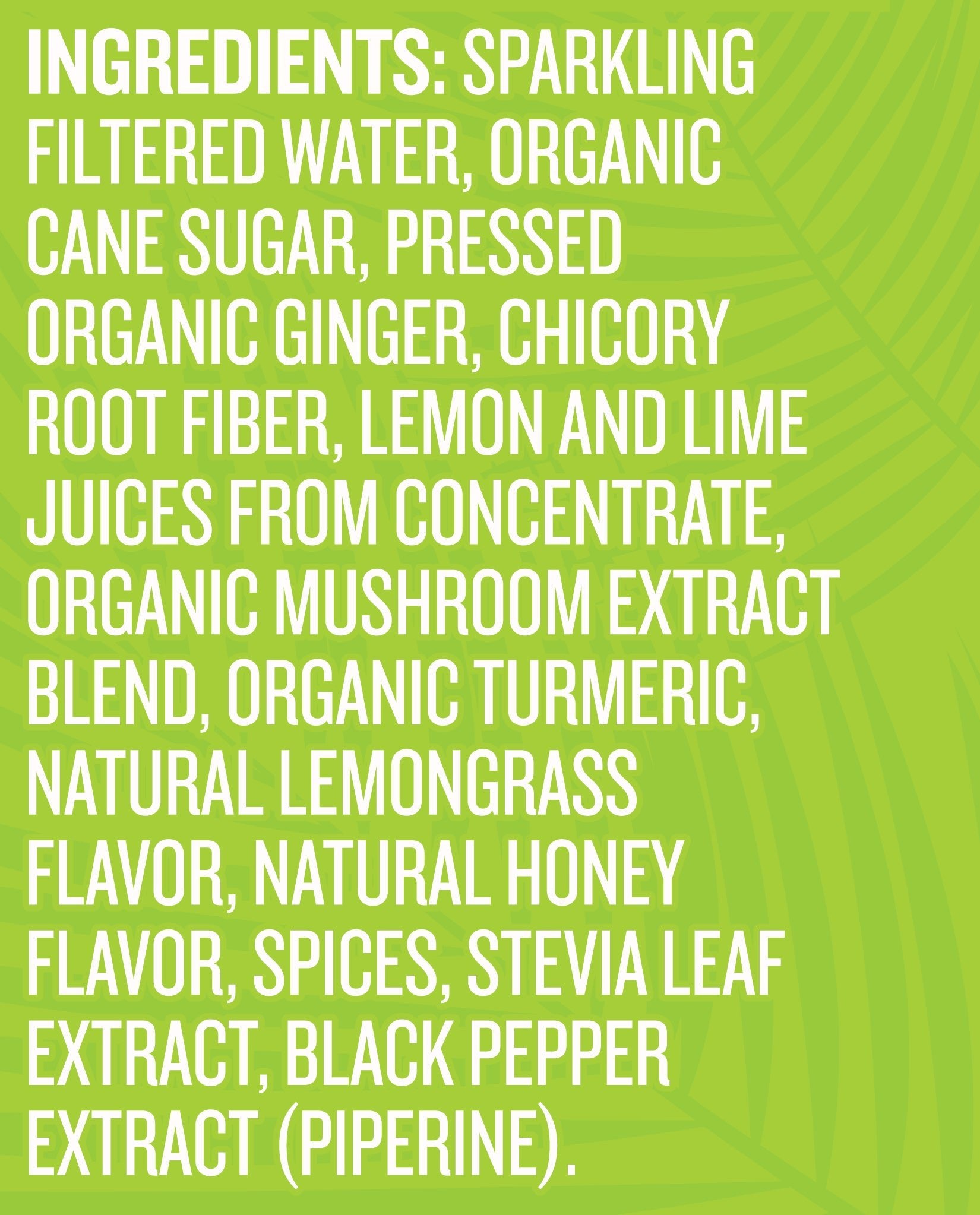 NEW! Ginger Lemongrass Multifunctional Soda - Reed'sInc