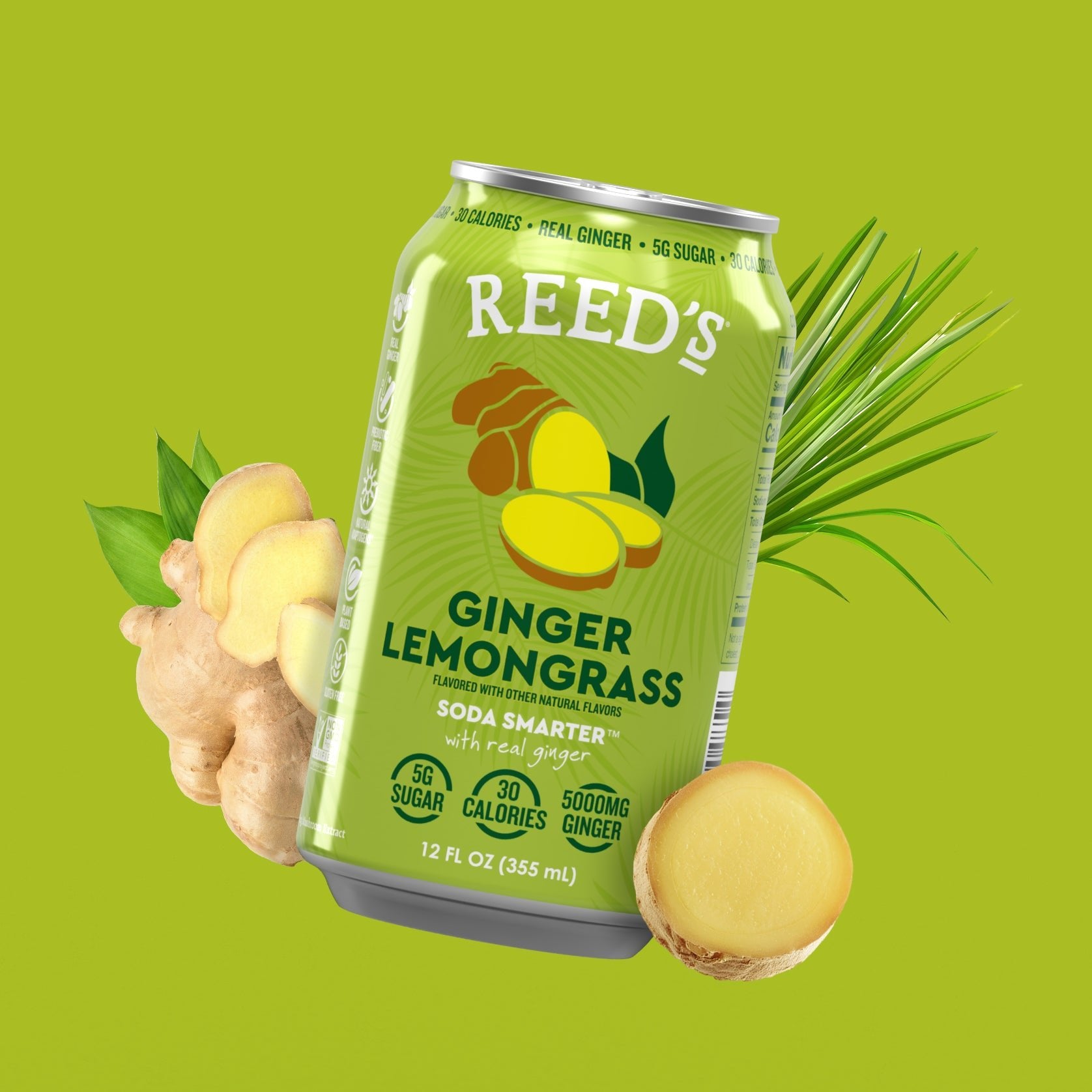 NEW! Ginger Lemongrass Multifunctional Soda - Reed'sInc