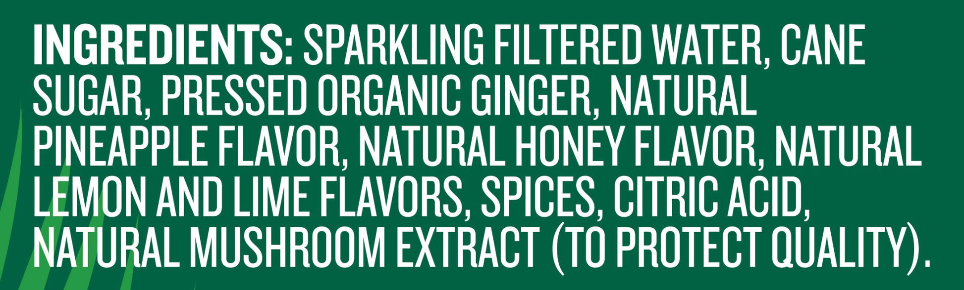 REED'S EXTRA GINGER BEER 24 PACK - Reed'sInc