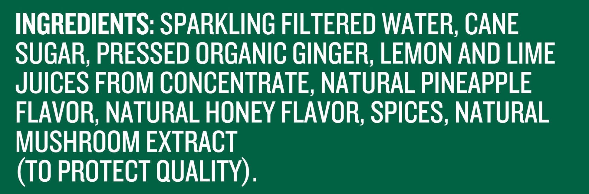 REED'S EXTRA GINGER BEER 24 PACK GLASS - Reed'sInc
